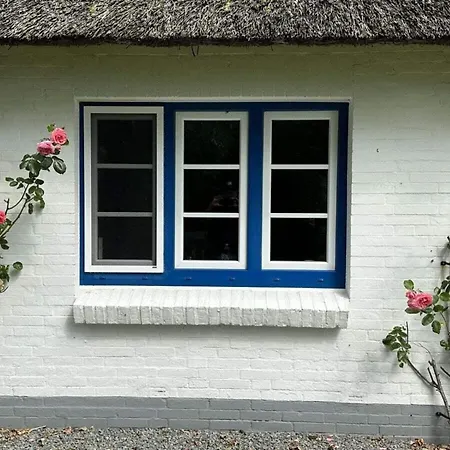 With 3 Bedrooms * Osterhever