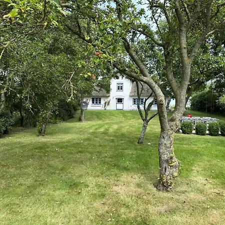 Vakantiehuis With 3 Bedrooms Osterhever